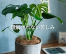 カサンドラなどでお悩みの方、お悩み相談お聞きします カサンドラ特有のお悩み相談ダイヤル/経験者の私にご相談下さい イメージ3