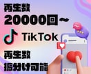 TikTok再生数20000回～増加させます あなたの投稿を世界中に拡散して再生数を増やします イメージ3
