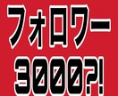 本物のTwitter集客術教えます 2ヶ月でフォロワー3000人突破した極秘ノウハウ イメージ1