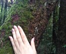 ニュージーランド(南島)のおすすめスポット教えます 地元民の視点でおすすめな場所やお店の情報を提供します♪ イメージ1
