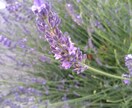 勉強の応援します テスト勉強での不安にお付き合いします イメージ1