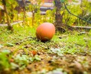 写真加工や、シンガポールにある物の写真を撮ります 依頼主の満足いくまで！何度もやり直します！ イメージ6