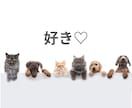 あなたの溢れる「好き♡」のお話、大切に受け止めます ♡否定なし！思い切り話して、ご機嫌な時間一緒に過ごしましょう イメージ6