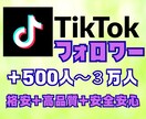 格安でTikTokフォロワー増やします 高品質＋減少率少＋補填保障あり。フォロワー＋５００人～ イメージ1