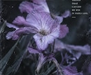海外雑誌風のAI画像を制作します ファッションを海外誌のような世界観に仕上げます イメージ10