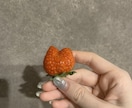 ハンドモデル　肌の白さに自信があります 美白な手をぜひご活用ください。 イメージ2
