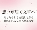 AI文章を共感されるSNS文章に整えます 読者に“伝わる・届く”自然な文章へリライトします イメージ6