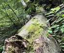 双極性障害の私が聴きます 今すぐきいてほしい心のなやみ寄り添います イメージ2