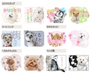申請いらず*ペットや動物の写真スタンプ制作します うちの子の魅力そのまま、普段使いのできるLINEスタンプに♪ イメージ2