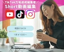 TikTok万垢編集者がshort動画編集します ゆっくり、ずんだもんなども利用可能！最安3000円〜 イメージ1