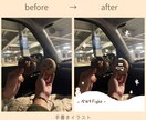 あなたの写真とテキストでおしゃれな画像を作成します やわらかくシンプルなのに、どこか落ち着く画像をあなたに イメージ5