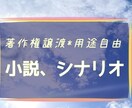 現役ライターがオリジナルの短編小説を執筆します 著作権譲渡、納品後はご自由にお使いください！ イメージ1