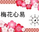 梅花心易で、あなたのお悩みにアドバイスいたします 梅花心易は墨田区の道場で学びました（笑） イメージ1