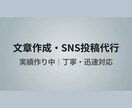 SNS投稿文・文章作成を丁寧に行います 実績作り中のため迅速・柔軟に対応します イメージ1