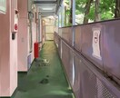 背景イラスト描きます 光を感じられるような背景イラスト描きます イメージ7