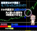 ノンストレスな大口コバンザメＦＸを教えます 大口投資家の動きにピッタリ便乗！だからストレスフリー！ イメージ4