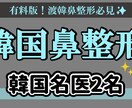 鼻整形の名医、修正医59名のリスト紹介します 現役美容外科社員がまとめる全国の鼻整形の名医・修正医リスト イメージ2