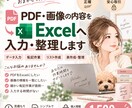 PDF・画像の内容をExcelへ入力・整理します 面倒なデータ入力・転記作業を丁寧に代行します イメージ1