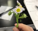 夏休みの自由研究などに便利な理科の実験を提案します 理科の教員を目指す、現役教育学部生がお応えします！ イメージ5