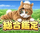 四柱推命であなたの運命❤️を総合鑑定いたします 的中率が高い四柱推命であなたの本質を深くお調べいたします。 イメージ1