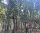 心が弱った時よりそいます 精神科経験ナースが悩めるあなたの身近な味方になります イメージ1