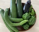 家庭菜園初心者さん向けアドバイスをします 小さな庭でも一緒に野菜づくり楽しみましょう！ イメージ3