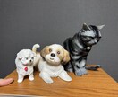 ペットを3Dプリントします 3Dプリンターでペットをプリントします イメージ1