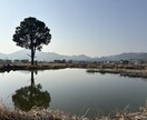 お電話でお話し聞きます 否定せず、受け入れます。ゆっくり話してくださいね♪ イメージ1