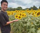 毎日をもっと楽しく生きるヒントをお渡しします 人生を映画のように面白くする視点をお伝えします！ イメージ1