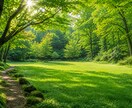30分、発達障害児についての悩み事を聞きます 疲れた、何が正解なのかそんな悩みをお聞かせください！ イメージ1