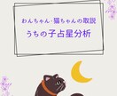 誕生日から見る「うちの子」のトリセツ作成します 基本性格からケアポイント、生まれた意味までまるっと解説！！ イメージ1
