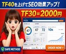 増加 TF 40 CF 30 マジェスティックます 増加 TF 40 CF 30 マジェスティック イメージ1