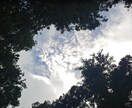 1分から✨✨✨ お話し相手します 【✨雑談✨話し相手。お気軽にどうぞ】 イメージ7