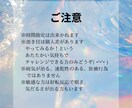 人･動物のオーラ分析/チャクラ･波動調整行います 電子波動調整機で７つのチャクラバランスを整え波動調整します イメージ8