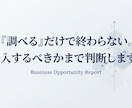 競合・市場調査レポートを作成します 新規事業のGO/NO-GO判断まで分析します イメージ5