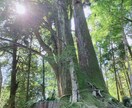 あなた本来の本質をお伝えします 自分のことを知りたい！自分のことをもっと幸せにしたい！方へ イメージ2