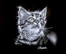 黒紙に白色鉛筆でリアルな絵を描きます 他にはない黒紙に白色鉛筆だけでリアルな質感で絵を描きます イメージ3