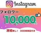 Instagram高品質フォロワー１万人増やします 凍結リスク無！格安で高品質なフォロワー獲得　30日間の保証付 イメージ1