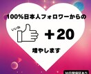 100%日本人フォロワーからの『いいね』増やします 100%日本人フォロワーからのいいねを増やして信頼度アップ！ イメージ1