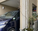 ご自宅のちょっとしたスペースに森を提供します 一家に一台卓上の森をいかがでしょうか？ イメージ4