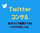 ファンを作るTwitter運用をコンサルします チャットと個別対応のPDFであなたの運用を徹底サポート♪ イメージ1