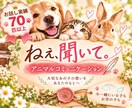うちの子との絆を深めるお手伝いをします お空の子も今一緒にいる子もお話しします イメージ1