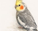 大切な「うちの子」水彩画風イラストにデザインします 「うちの子」の大切な一枚をずっと飾りたくなる特別なアートに イメージ5