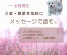 女性限定―動物好きさん大歓迎！お話お聴きします 犬愛・猫愛はじめ、どんなお話もじっくりお聴きします♡ イメージ1