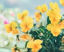 自分が嫌い…周りの目が気になる…そのお悩み聞きます ずっと変わりたいのに変われないあなたへ イメージ3