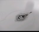 愛犬、愛猫、ペットのリアルな似顔絵オーダー承ります 精密描写で描きます。インテリアアートなどにいかがでしょうか。 イメージ8