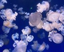 愚痴、惚気聞きます 身近な人には言えないような愚痴や惚気聞きます！ イメージ1