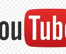 YouTubeチャンネル登録者1000人増やします ◆豪華特典付◆YouTube収益化!安心の30日間減少保証 イメージ9