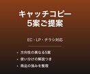 商品・LP・チラシのキャッチコピーを5案考えます EC・LP・チラシ・商品パッケージ対応します イメージ1