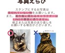 世界に1つ！我が子スタンプ作成いたします ただいま開業セール価格です♪(残り10名様) イメージ2